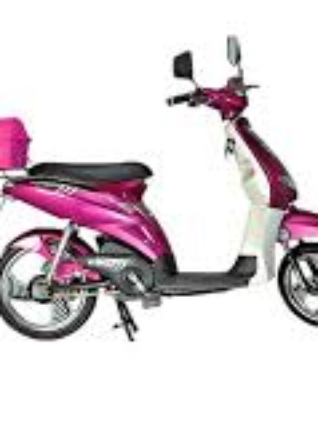लाइसेंस या RC की जरुरत नही मात्र 28000 रुपयों में यह Electric Scooter