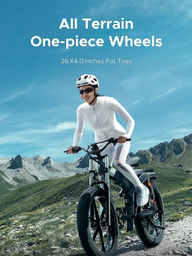 66ee44aedb2bae48114bfd4b-engwe-x26-fat-tire-electric-bike