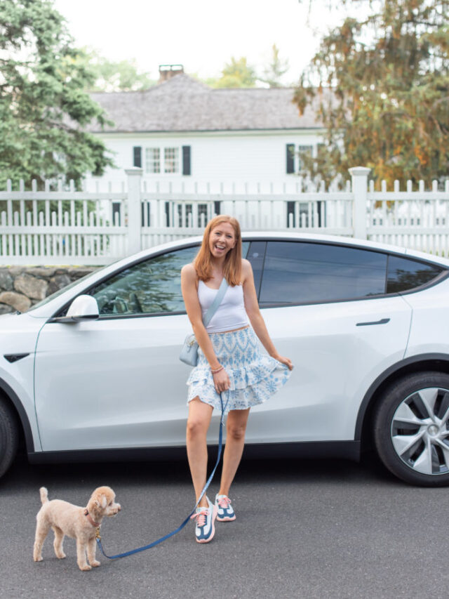 White-2021-Tesla-Model-Y-01-684x1024